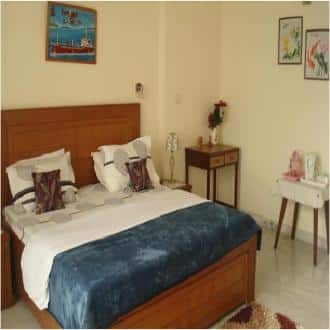 A Combination Of Luxury Home And Hotel, New Delhi 4